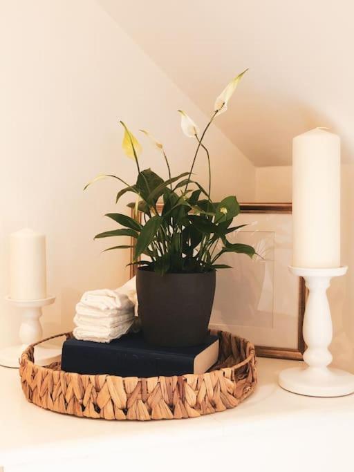 The Sycamore Retreat - Hampstead Λονδίνο Εξωτερικό φωτογραφία